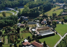 L'azienda - LUCCHINI TODESCHINI